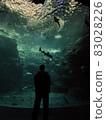 水族館（地獄/拉斯老闆） 83028226
