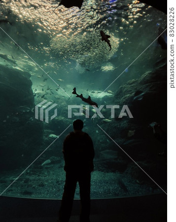 水族館(地獄/拉斯老闆) 水族館(地獄/拉斯老闆) 83028226