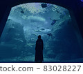 水族館（天堂） 83028227