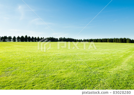 Moerenuma Park, a vast lawn plaza in Hokkaido Moerenuma Park, a vast lawn plaza in Hokkaido 83028280