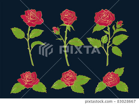 寫實玫瑰花插畫素材黃金 83028667