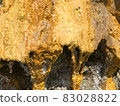 Background with yellow mold on the mountain or rock 83028822