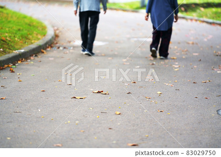 隨風飄揚的落葉小徑 隨風飄揚的落葉小徑 83029750