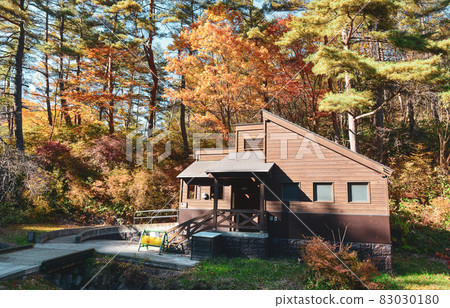 Wooden holiday house in the middle of a forest 83030180
