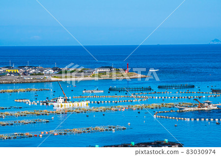 柏島(四國/高知縣) 柏島(四國/高知縣) 83030974