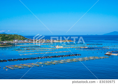 柏島（四國/高知縣） 83030975