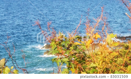 Otamoi沿海海 Otamoi沿海海 83031509