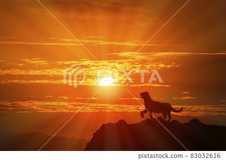 朝日和老虎 83032616