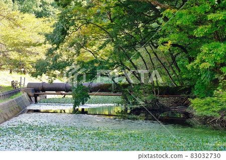 Akiha Ward, Niigata Prefecture A place of relaxation Akiha Lake 83032730