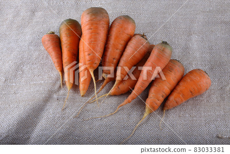 Carrots on bagging 83033381