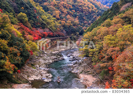 Downhill of the Hozu River in autumn 83034365