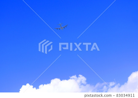藍天和飛機 83034911