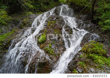 Shiraiwataki (Hinodesan Shiraiwataki hiking course) 83035551