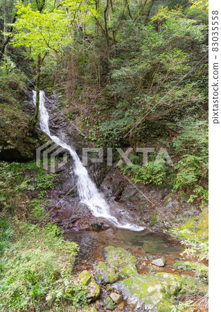 Shiraiwataki (Hinodesan Shiraiwataki hiking course) Shiraiwataki (Hinodesan Shiraiwataki hiking course) 83035558