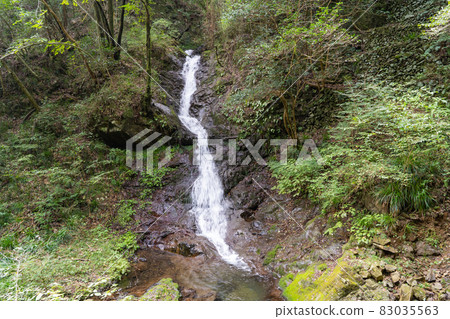 Shiraiwataki (Hinodesan Shiraiwataki hiking course) Shiraiwataki (Hinodesan Shiraiwataki hiking course) 83035563