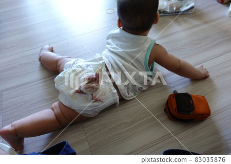 玄鳳幼雛 玄鳳幼雛 83035876