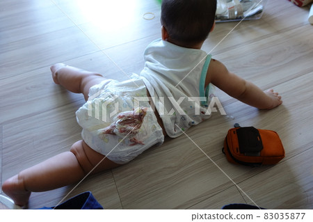 玄鳳幼雛 83035877