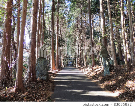 Busan Shrine 83035982