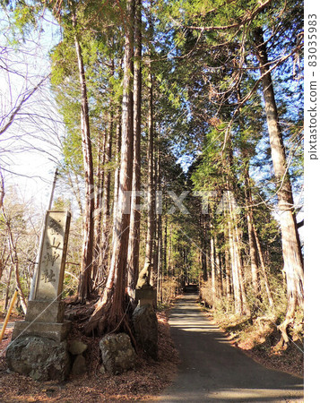 Busan Shrine 83035983