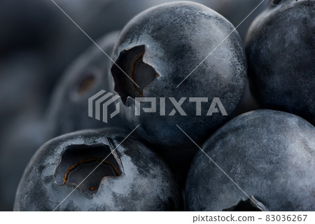 Ripe fresh blueberries berries super close up. Decorating,  83036267