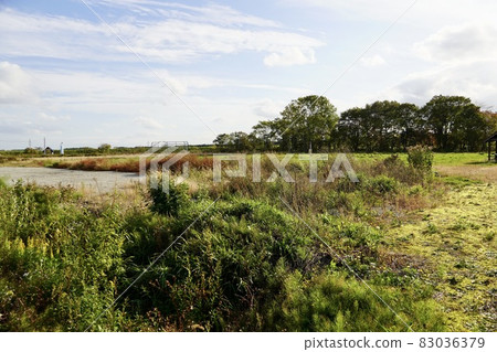 北村東小學(關閉) 北村東小學(關閉) 83036379