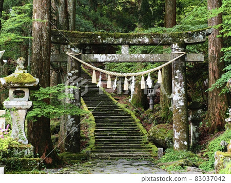 Takasumi Shrine, Fukuoka Prefecture Takasumi Shrine, Fukuoka Prefecture 83037042