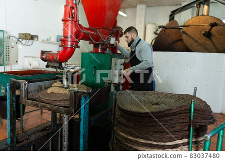 Man spreading milled olives on fiber disks to press Man spreading milled olives on fiber disks to press 83037480
