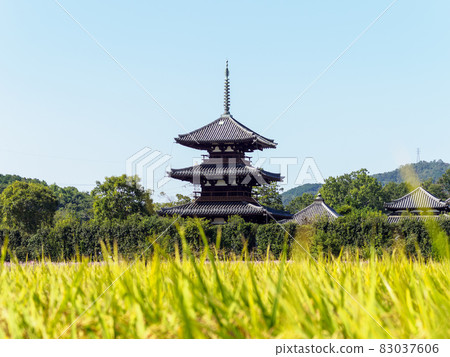秋季保吉寺與稻穗景觀 秋季保吉寺與稻穗景觀 83037606