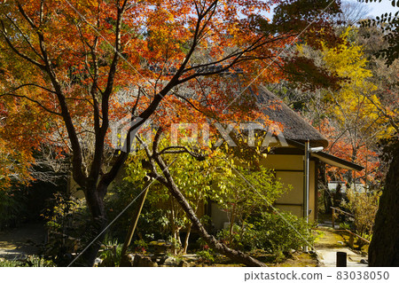 乘知地鬆院附近的紅葉 乘知地鬆院附近的紅葉 83038050