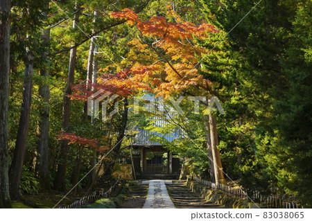 Jufukuji Temple 從山門通往的道路 Jufukuji Temple 從山門通往的道路 83038065