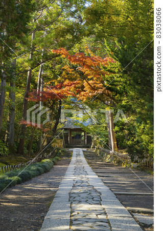 Jufukuji Temple The approach leading from the Sanmon Jufukuji Temple The approach leading from the Sanmon 83038066