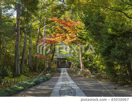 Jufukuji Temple The approach leading from the Sanmon 83038067