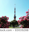 玫瑰和東京鐵塔 83039288