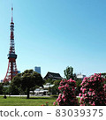 玫瑰和東京鐵塔 83039375