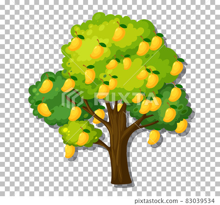 Mango tree on transparent background Mango tree on transparent background 83039534