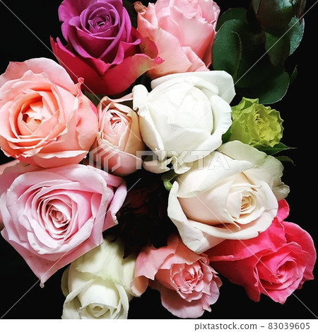 玫瑰【花束】 玫瑰【花束】 83039605