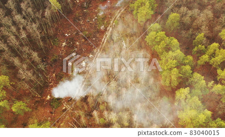 Aerial View Green Pine Forest Deforestation Area Landscape. Smoke From Burning Spruce Branches Left After Cutting Down Pines. Top View Of Growing Forest And Empty Land. Drone View. Bird's Eye View Aerial View Green Pine Forest Deforestation Area Landscape. Smoke From Burning Spruce Branches Left After Cutting Down Pines. Top View Of Growing Forest And Empty Land. Drone View. Bird's Eye View 83040015