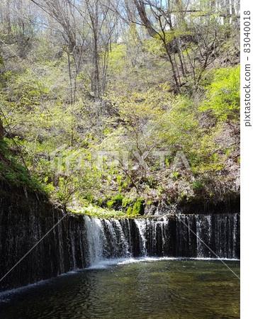 白絲瀑布【輕井澤】 白絲瀑布【輕井澤】 83040018