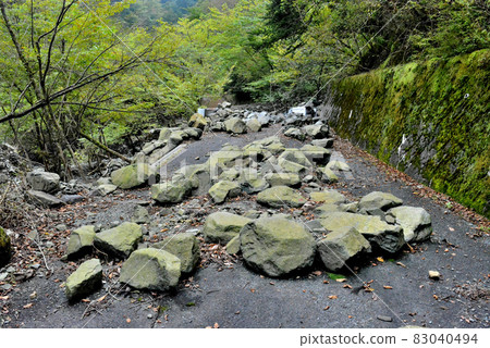 Sediment was washed away by heavy rainwater, leaving only large stones on the forest road 83040494