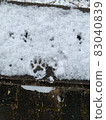 雪地上的狗腳印 83040839