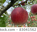 Apple 6 83041562