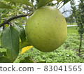 Blue apple 2 83041565