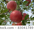 Apple 10 83041789