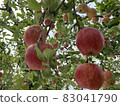 Apple 11 83041790