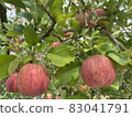 Apple 12 83041791