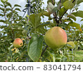 Apple 15 83041794
