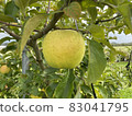 Blue apple 10 83041795