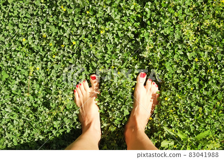 Female bare feet on mawed lawn grass. Young woman resting outdoors barefoot, take a break concept. Student on college campus yard. 83041988