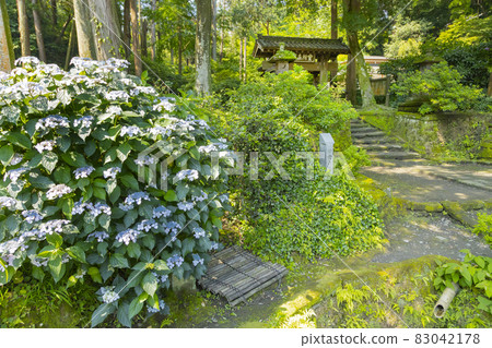Jochiji Temple Kanronoi Well 和 Sanmon 83042178