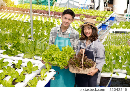 Hydroponics, smiling young Asian couple farmers holding vegetable baskets, standing on a farm, growing organic, commercial organic vegetables. Organic farming business concept Hydroponics, smiling young Asian couple farmers holding vegetable baskets, standing on a farm, growing organic, commercial organic vegetables. Organic farming business concept 83042246